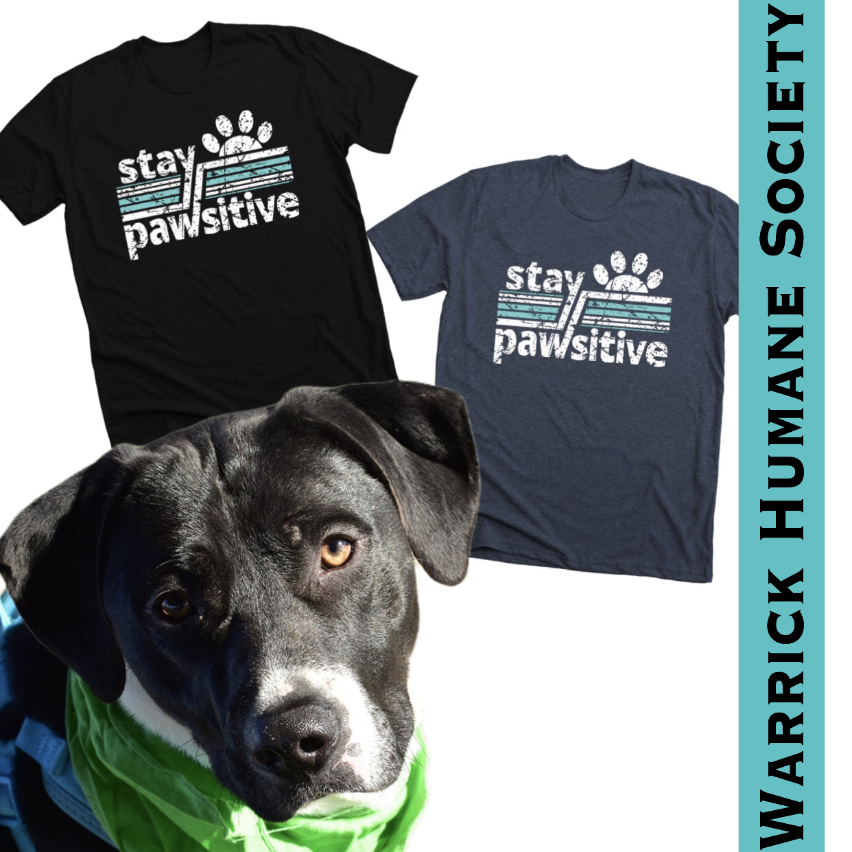 Stay Pawsitive Warrick Humane Society